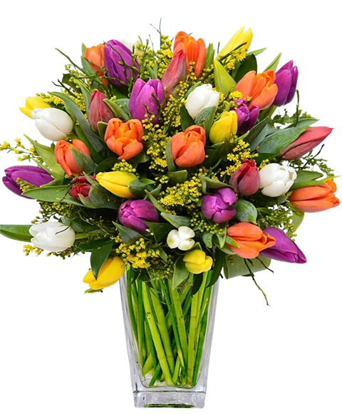 Bouquet di