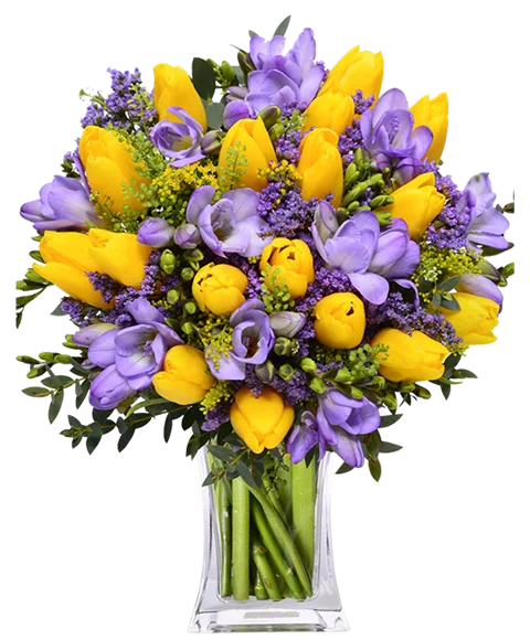 Bouquet di tulipani