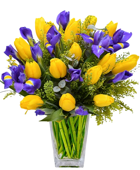 Bouquet di tulipani