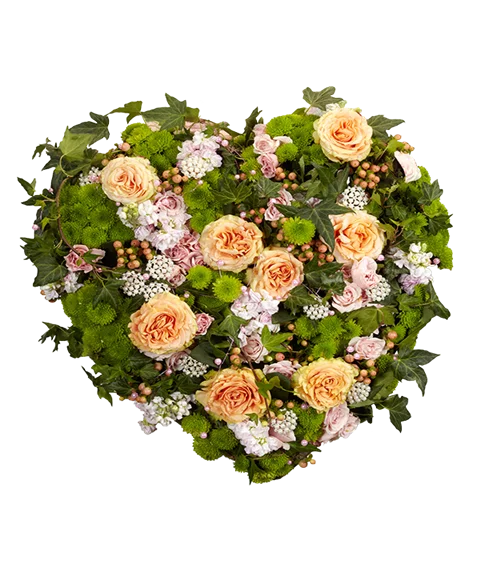 Cuore di